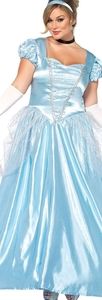 Cinderella Costume Package